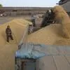 пшеница мягкая 3 и 4 класс в Бугуруслане